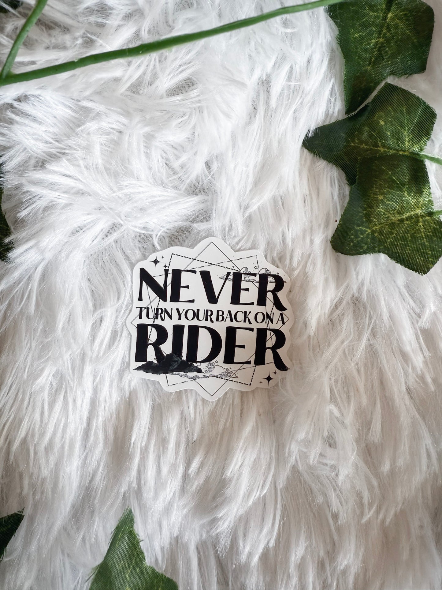 Never Turn You Back on a Rider Sticker | Fourth Wing