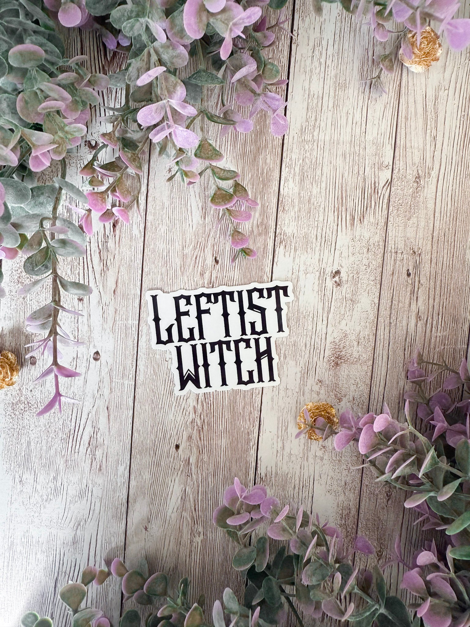 Leftist Witch