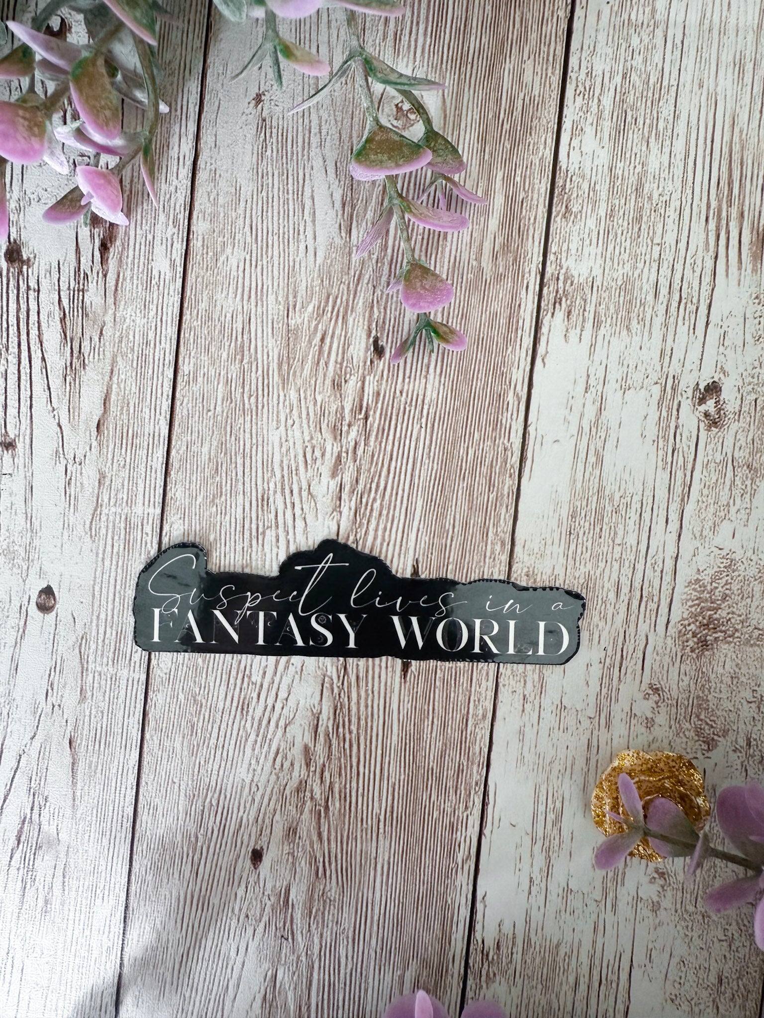 Suspect Lives in a Fantasy World
