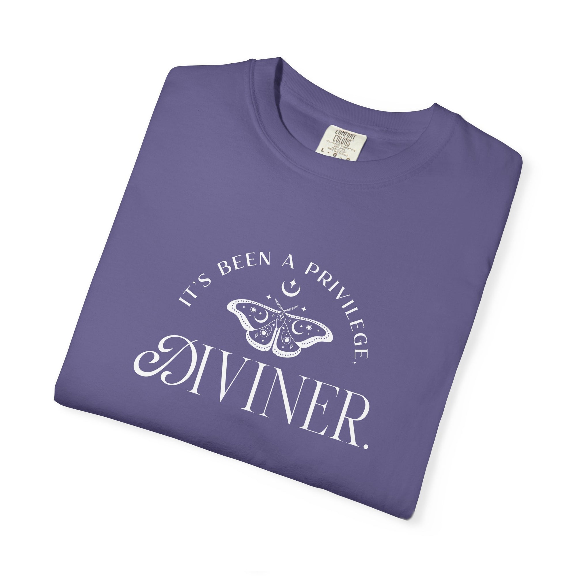 It's Been a Privilege Tee