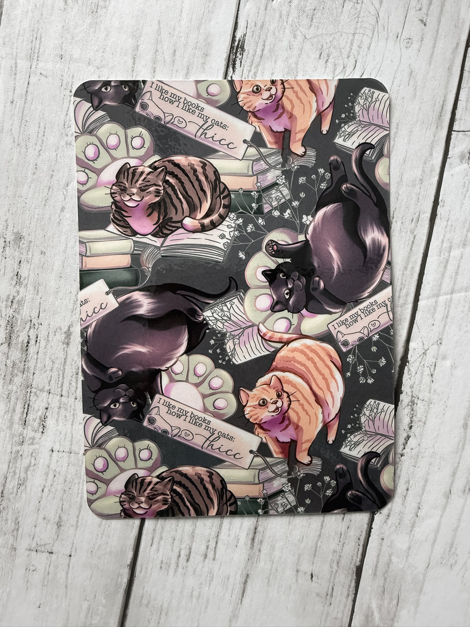 Thicc Kitties Kindle Insert