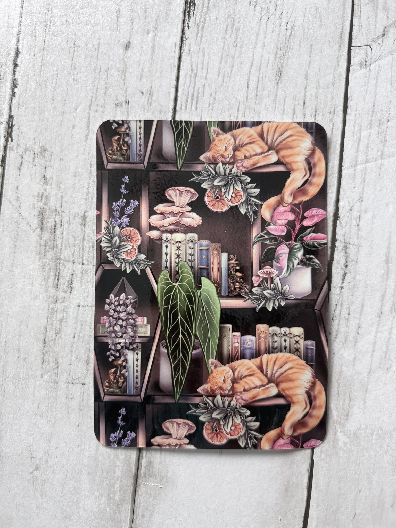Dark Cottagecore Kitty Kindle Insert