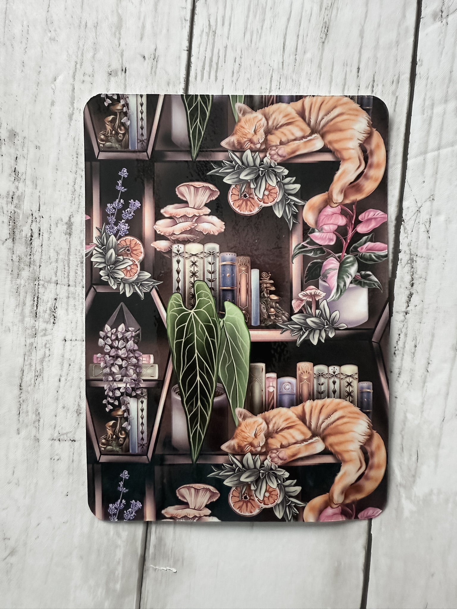 Dark Cottagecore Kitty Kindle Insert