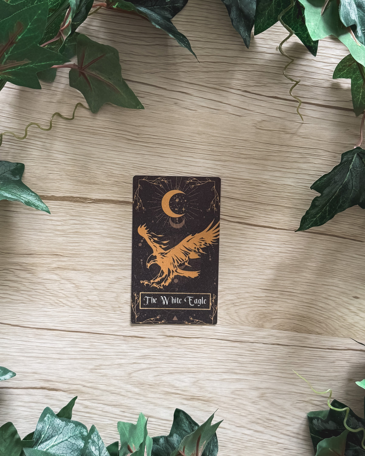The White Eagle Providence Card