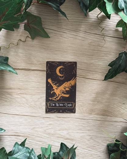 The White Eagle Providence Card