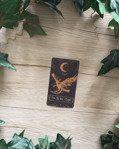 The White Eagle Providence Card