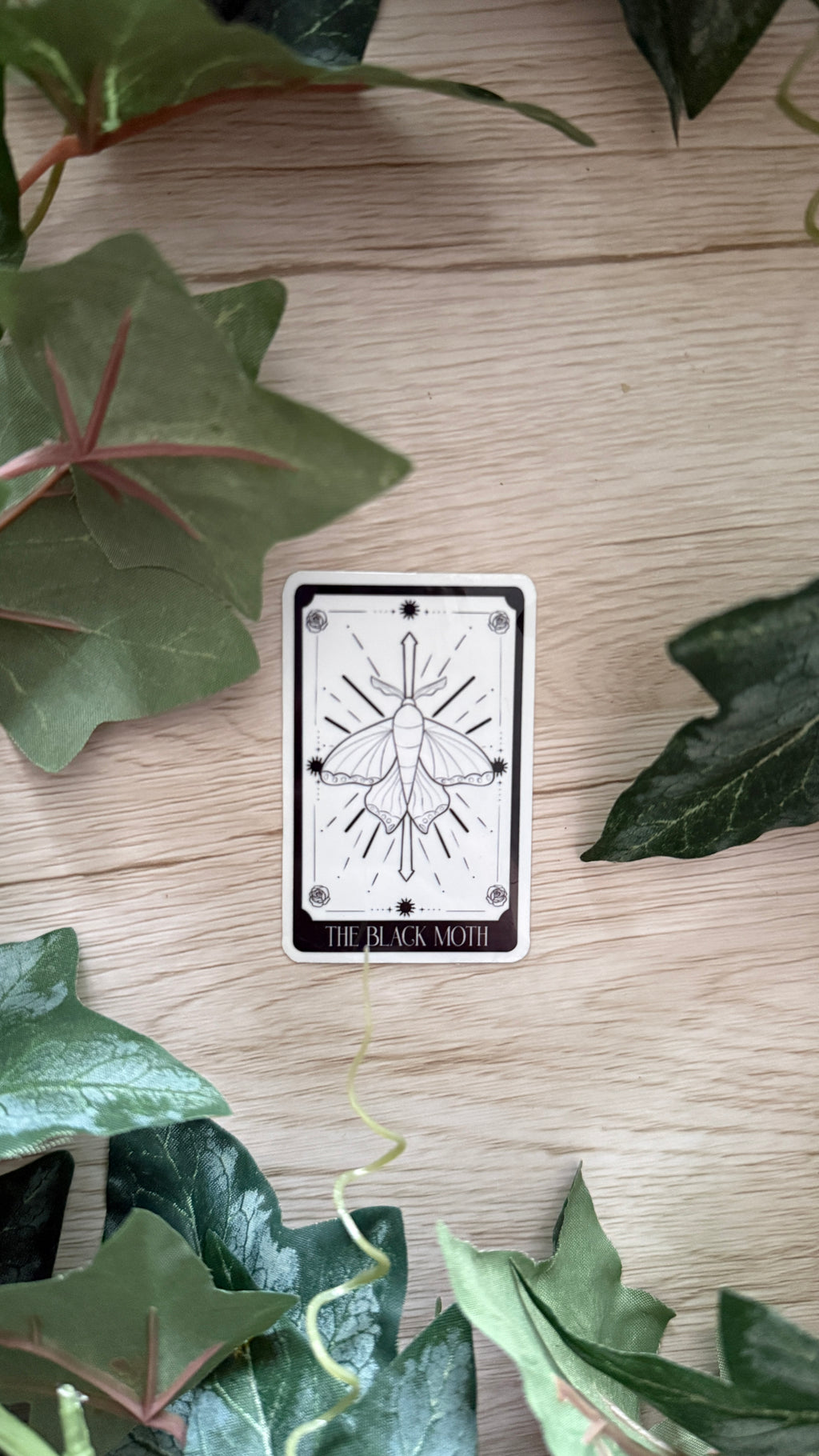 The Black Moth Sticker