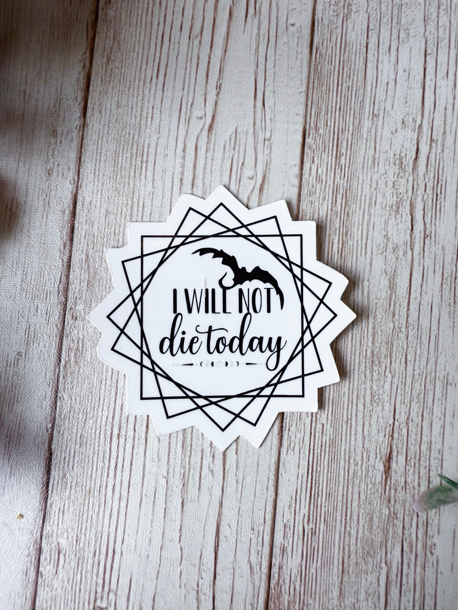 I Will Not Die Today Sticker | Fourth Wing