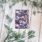 Fourth Wing Dragons Kindle Insert